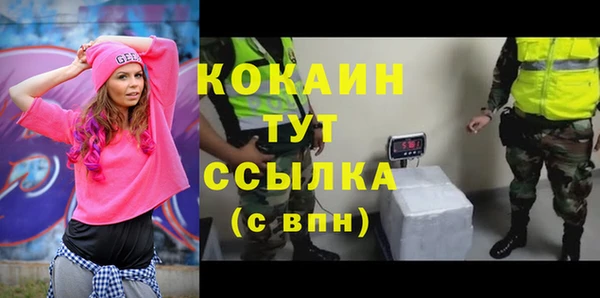 дурь Дубовка