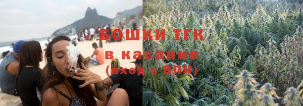дурь Дубовка