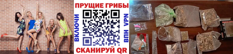 Галлюциногенные грибы MAGIC MUSHROOMS дарк нет клад Белгород