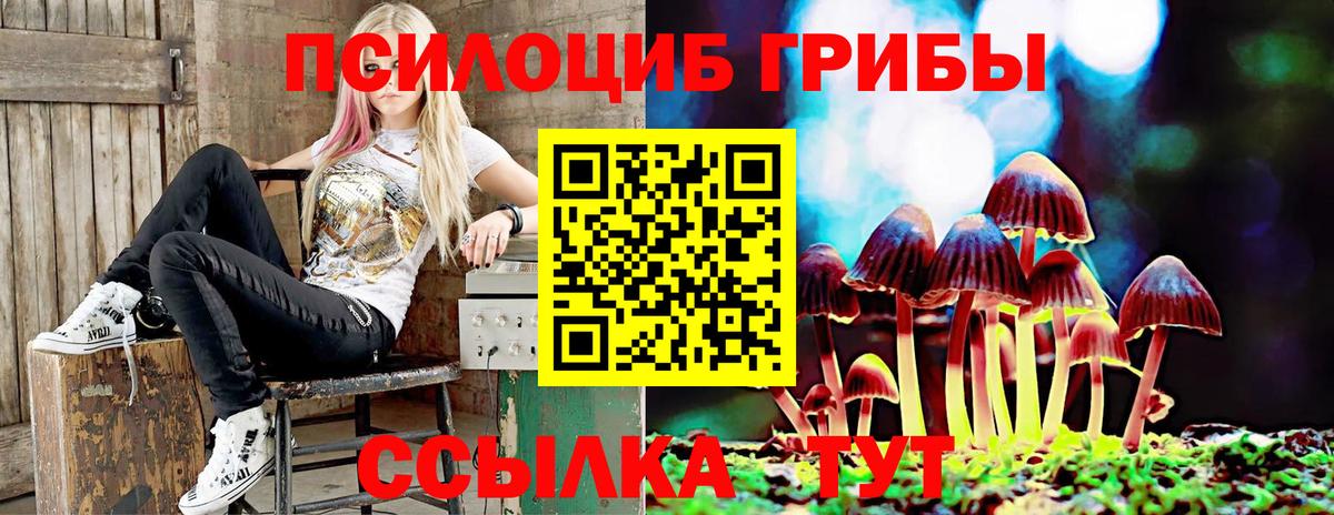 Галлюциногенные грибы мухоморы Белгород